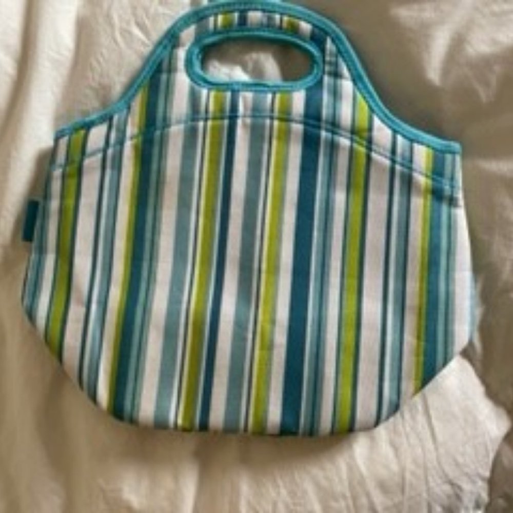 blue insulated bag